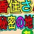 あつ森 あつまれどうぶつの森実況LIVE 香住さんが作った秘密の地下室で遊ぶぜ 島訪問だ 氷川つきのゲーム実況 視聴者参加型 21