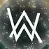 Alan Walker Ocean Swempke