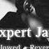 Expert Jatt Slowed Reverb