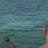 Shark Goes After Swimmers SHORTS