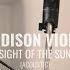 Madison Violet Sight Of The Sun Live Acoustic