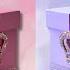 Choose Your Gift 2 Gift Box Challenge Pink Vs Purple Edition Goodvsbad Giftbox