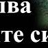 Си Дзинпин посети ракетните бази на стратегическите войски и призова да изпълнят дълга си 21 10 24