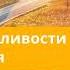 13 октября 2024 Союз справедливости и милосердия Возвращение домой Адвентисты