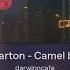 Sandy Marton Camel By Camel Sped Up Pitched Down Reverb