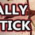 Walking Stick Facts Aka Stick And Leaf Bugs Animal Fact Files