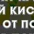 10 продуктов растворят кристаллы мочевой кислоты и избавят от подагры камней в почках