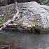 Fly Fishing The Cascades Little Stoney Creek