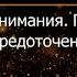 Брюс Алан Уоллес Глава 7 Революция внимания Пробуждение силы сосредоточенного ума