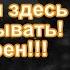 АЛИСА Вы просто обязаны здесь зарабатывать Я уверен