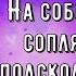 Позитивчик для Моих Друзей Улыбка Радость Позитив От всех Невзгод Контрацептив Прикольная Открытка