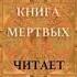 Тибетская Книга мёртвых Бардо Тхёдол читает Роман Волков