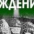 Кто такие Агульцы Происхождение народа