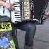 Awesome Accordion Player