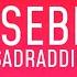 Sadraddin Ne Sebep Lyrics