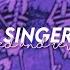 Bts Born Singer Slowed Reverb