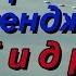 В небе в Геленджике стрижи ассы