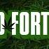 SFM Weed Fortress Part 1