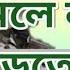 Bangla Waz Allama Delwar Hossain Saidi About Salat Namajer Gurutto