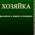 Пять фактов о книге Марины Струковой Хозяйка Рассказы о людях и нелюдях