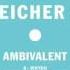 Ambivalent Whyou Michael Mayer Mix