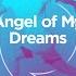 Angel Of My Dreams Workout Remix 128 BPM