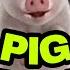 Pig Crying Funny Video SHORTS TiprasaHappyChanelTHC