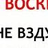 29 декабря Агеев День Что нельзя делать 29 декабря Народные Приметы и Традиции Дня