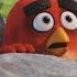 The Angry Birds Movie 2016 Movie The Angry Birds Movie The Angry Birds Movie Full Facts Review