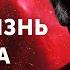 ПОЛУЧИ ВСЕ ЧТО ХОЧЕШЬ Как Исполнить Любое Желание Сильная Молитва Джозефа Мерфи Joseph Murphy