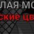 ПОШЛАЯ МОЛЛИ Райские цветы текст песни без обработки