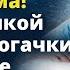 Став сиделкой для отца богачки Алиса даже не подозревала какой СЮРПРИЗ ее ждет Истории любви