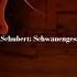 Schubert Schwanengesang D 957 Swan Song Arr For Violin Piano