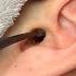 ASMR Ear Cleaning Fall Asleep Immediately No Talking