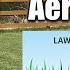 Aerating Lawns When It S Done And Why