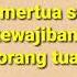 Apakah Kewajiban Menantu Pada Mertua Sama Dengan Kewajiban Anak Pada Orang Tua