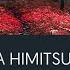 A Himitsu Lucid Dream