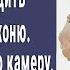 Заметил что жена часто ходит в конюшню к породистому коню Установил скрытую камеру побледнел