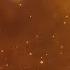 Golden Dust Animation Background Gold Particles Bokeh Motion Graphics Free 4K Abstract Wallpaper