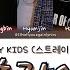 STRAY KIDS 스트레이 키즈 Grrr 총량의 법칙 BEWARE Lyrics Color Coded Han Rom Eng