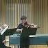 Vivaldi Concerto In A Minor Early Music Concert