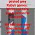 Grey Ruby S Games Anti Privacy Screen