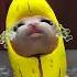 Banana Cat And Whiny Situation Remastered