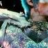 Velvet Goldmine TRAILER 1998 HD