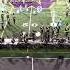 2019 Waukee Warrior Regiment The Tell Tale Heart