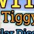 Why Lyrics Video Tiggy