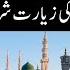 MAZAR Par Jana Shirk Madinah Main Wahabi Molana Say Guftugo Mufti Fazal Hamdard