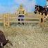 BULL FIGHT STOP MOTION Bull Touro Toro