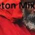 Capleton Mix 2023 Prophet Capleton Vol 6 DJ Master Asmita King Shango The King Of Fire