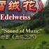 雪绒花 伴奏 Edelweiss